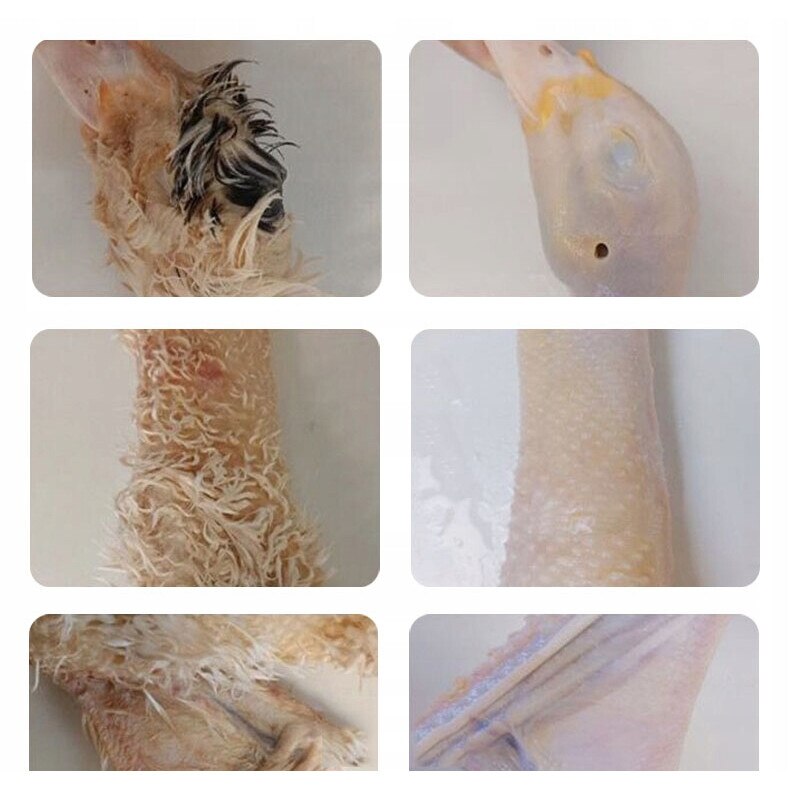 Elektromos tollfosztó gép